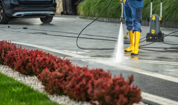Best Patio and Deck Pressure Washing  in Pine Hill, NJ